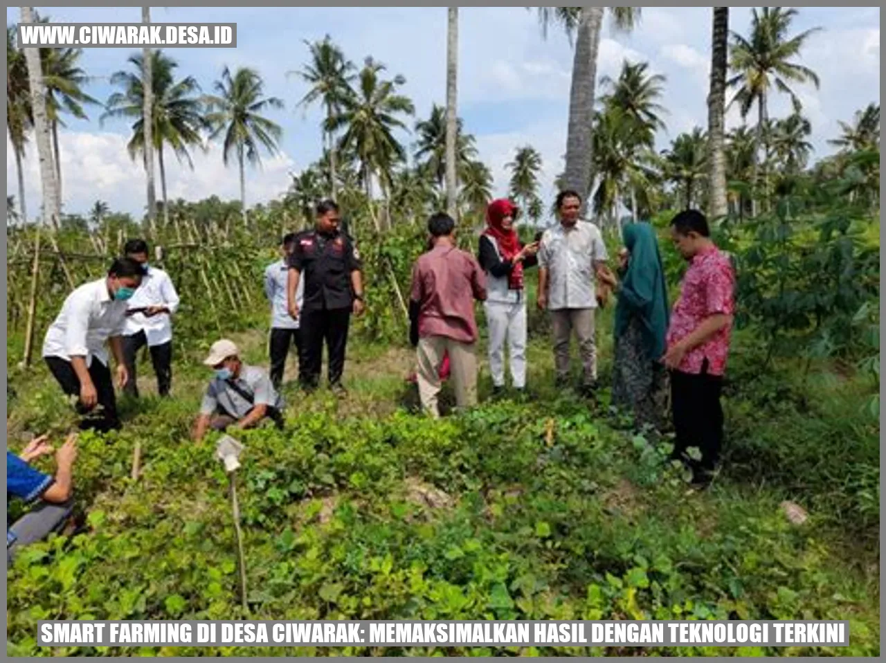 Smart Farming di Desa Ciwarak: Memaksimalkan Hasil dengan Teknologi Terkini